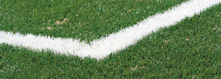 fußballrasen detail ausschnitt